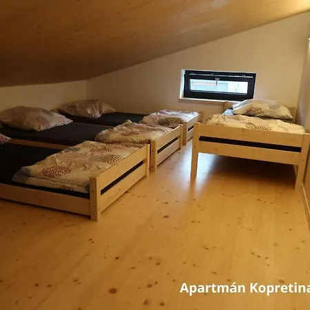 Apartmany Stramberk *