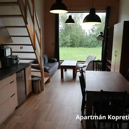 Kopretina * Štramberk