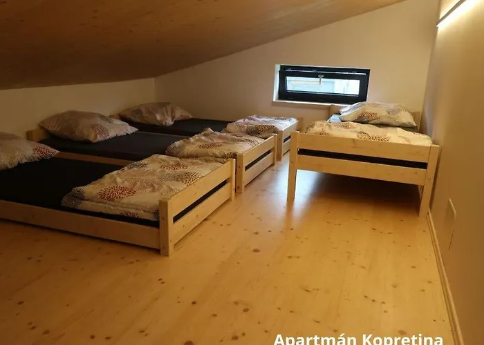 Apartmany Stramberk *